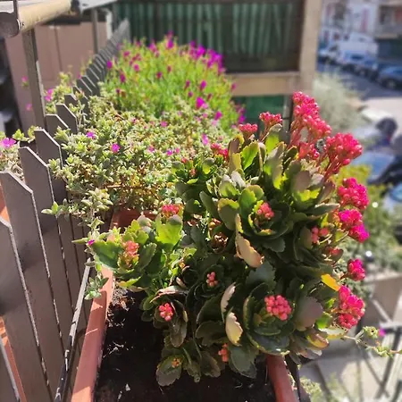 La Casa Dei Nonni Appartement Rome